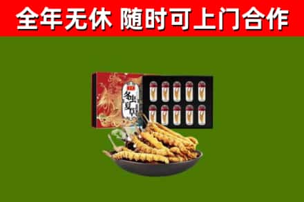 封开县回收冬虫夏草价格